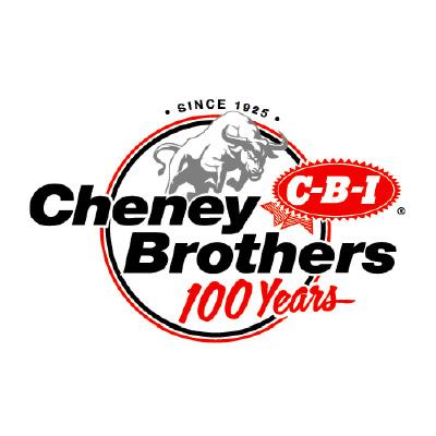 cbi